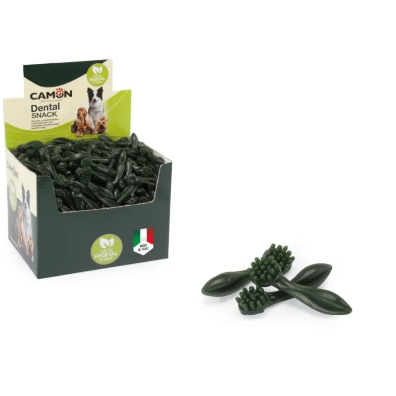 Dental Snack Brush Vegan für Hunde | Zahnpflege & Leckerli