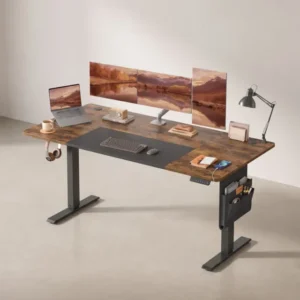 Komplettes Arbeitsplatz-Budget – Elektrischer Sitz-Steh-Schreibtisch + ergonomischer Bürostuhl – Höhenverstellbarer Schreibtisch – Heimarbeitsplatz