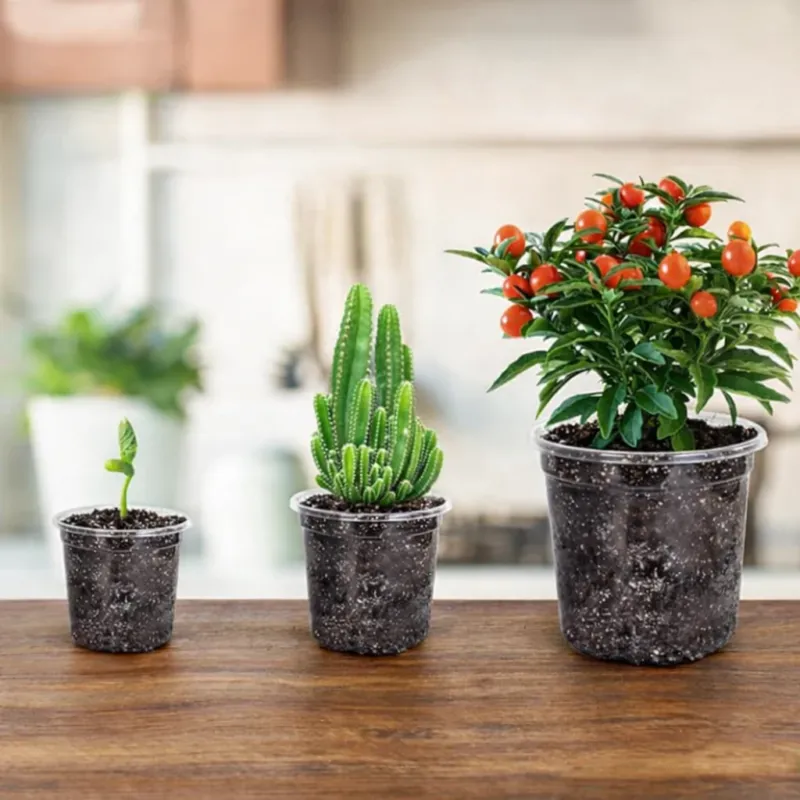 ROOTVIEW SET – 15 pack Transparent Seedling Pots for Easy Root Monitoring and Growth