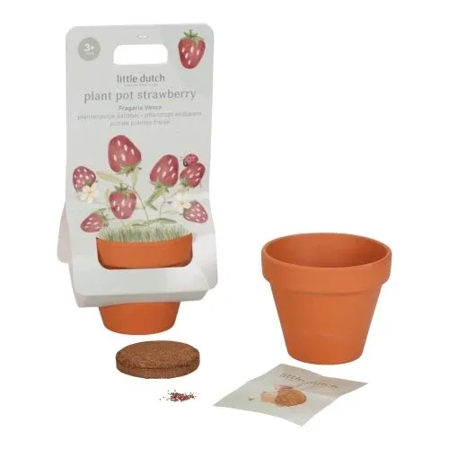 Little Dutch Pflanztopf Erdbeere - der Blumentopf mit Erdbeersamen