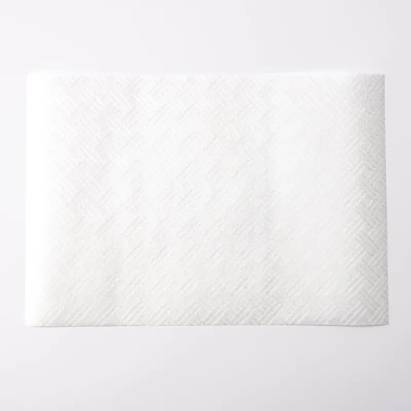 Morisa White Kagome Tosa Washi Paper Place Mat (5 sheets) - MUSUBI KILN - Quality Japanese Tableware and Gift